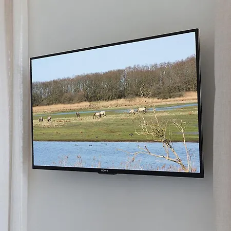 Feriehus Allergiefreie Luxus-ferienhauser An Der Ostsee Nieby (Nieby, Schleswig-Flensburg)