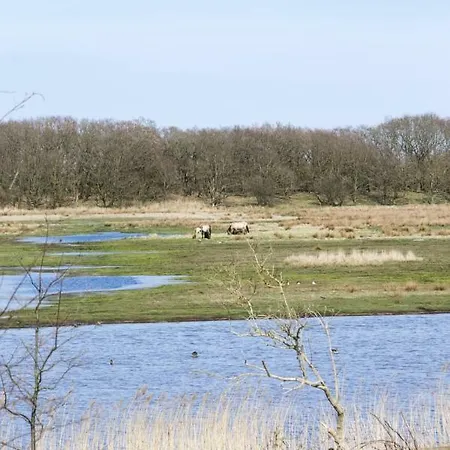 Allergiefreie Luxus-ferienhauser An Der Ostsee Feriehus