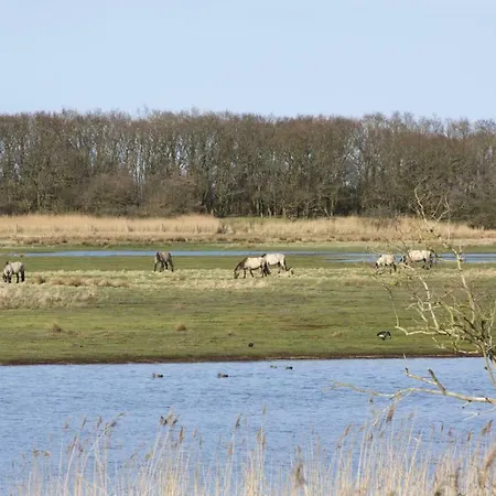 Allergiefreie Luxus-ferienhauser An Der Ostsee Nieby (Nieby, Schleswig-Flensburg)