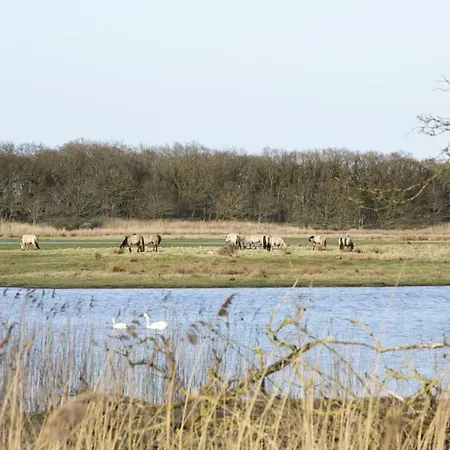 Feriehus Allergiefreie Luxus-ferienhauser An Der Ostsee Nieby (Nieby, Schleswig-Flensburg)
