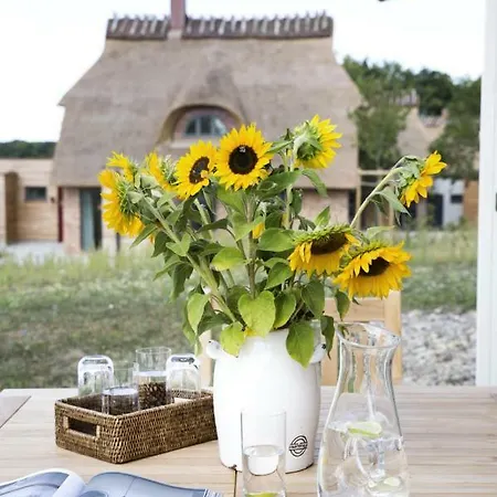 Allergiefreie Luxus-ferienhauser An Der Ostsee Feriehus